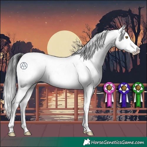 Horse Color:Brown Sabino 