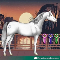 Horse Color:Brown Sabino