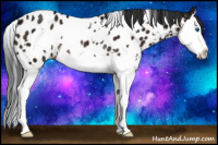 Horse Color:White Spotted Brown Ice Splash Appaloosa Rabicano 