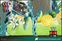 Horse Color:Thunderstruck White Spotted Liver Chestnut Ice Pearl Rabicano 