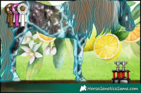 Horse Color:Thunderstruck White Spotted Liver Chestnut Ice Pearl Rabicano