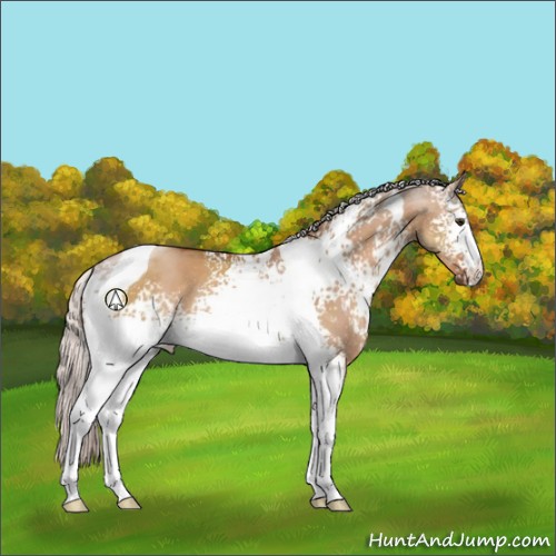 Horse Color:White Spotted Silver Bay Dun Tobiano Rabicano 