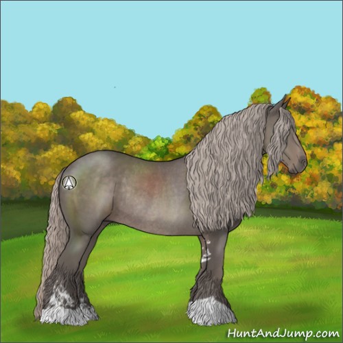 Horse Color:Silver Black Sabino Rabicano 