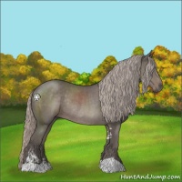 Horse Color:Silver Black Sabino Rabicano