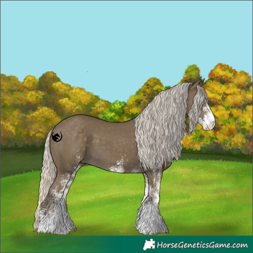 Horse Color:White Spotted Silver Smoky Black