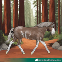 Horse Color:Silver Black Sabino 