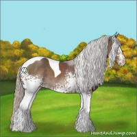 Horse Color:White Spotted Silver Black Tobiano 