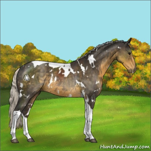 Horse Color:White Spotted Silver Smoky Black Tobiano Rabicano