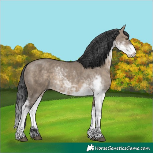 Horse Color:Brown Dun Sabino 