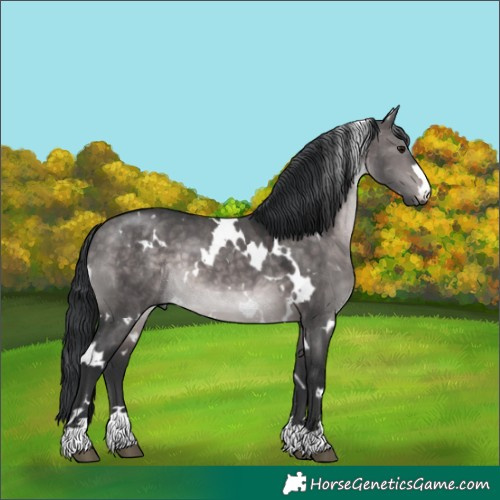 Horse Color:Platinum White Spotted Brown Dun 