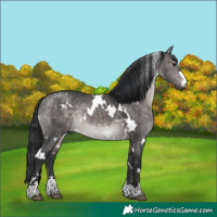 Horse Color:Platinum White Spotted Brown Dun 