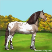 Horse Color:Chocolate Brown Dun Tobiano Appaloosa 