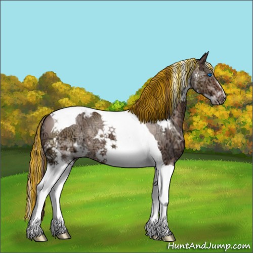 Horse Color:Painted Chocolate Brown Ice Dun Splash Tobiano Appaloosa