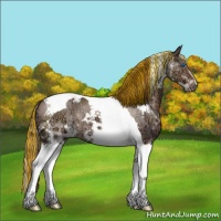 Horse Color:Painted Chocolate Brown Ice Dun Splash Tobiano Appaloosa 