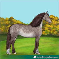 Horse Color:Platinum Chocolate Brown Dun 