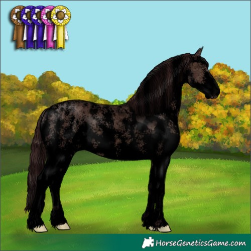Horse Color:Void Chocolate Brown Dun Sabino 
