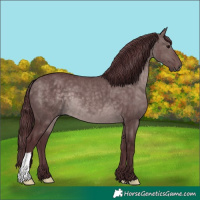 Horse Color:Platinum Chocolate Brown Dun 