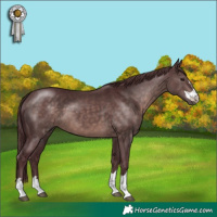 Horse Color:Platinum Chocolate Brown 