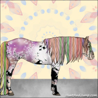 Horse Color:Painted White Spotted Liver Chestnut Pearl Splash Rabicano 