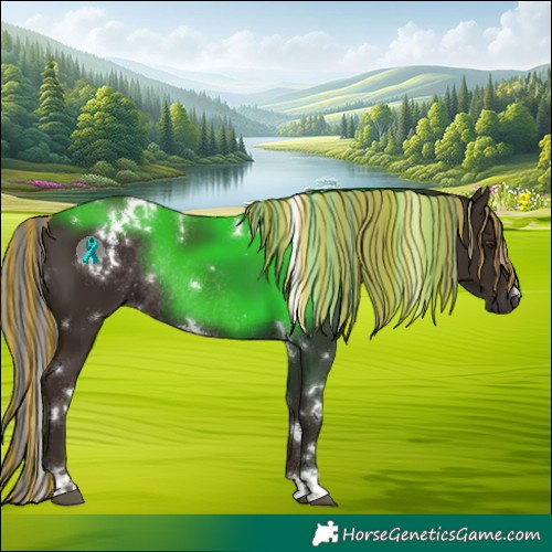 Horse Color:Painted White Spotted Liver Chestnut Rabicano 