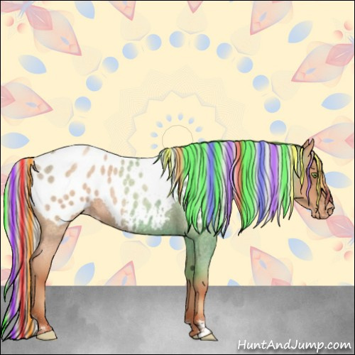 Horse Color:Painted Silver Amber Champagne Roan Appaloosa 