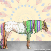 Horse Color:Painted Silver Amber Champagne Roan Appaloosa 