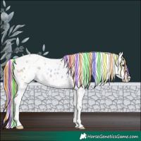 Horse Color:Painted White Spotted Red Dun Splash Appaloosa 