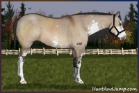 Horse Color:Brown Dun Sabino 
