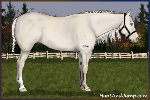 Horse Color:Silver Perlino Dun 