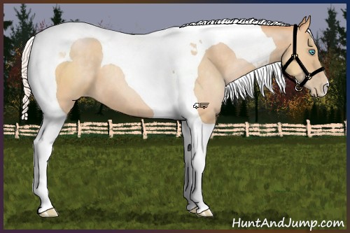 Horse Color:Silver Buckskin Pearl Tobiano