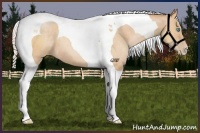 Horse Color:Silver Buckskin Pearl Tobiano