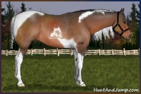 Horse Color:Brown Tobiano Rabicano 