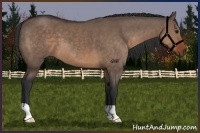 Horse Color:Brown Dun 