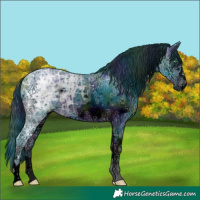 Horse Color:ERROR: UNKNOWN ANOMALY