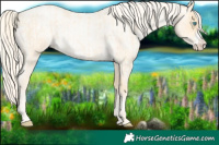 Horse Color:Palomino Roan Pearl and Palomino Roan Pearl Frame