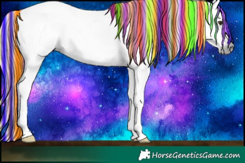 Horse Color:Gray Painted White Spotted Midnight Liver Chestnut Ice Splash Rabicano 