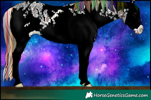 Horse Color:Painted White Spotted Brown Sabino Splash Near Leopard Rabicano 