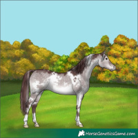 Horse Color:Platinum White Spotted Chocolate Brown Dun 