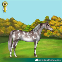 Horse Color:Platinum White Spotted Chocolate Brown Dun 