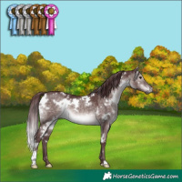 Horse Color:Platinum White Spotted Chocolate Brown Dun 
