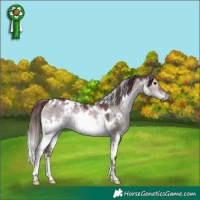 Horse Color:Platinum White Spotted Chocolate Brown Dun 