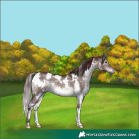 Horse Color:Platinum White Spotted Chocolate Brown Dun 