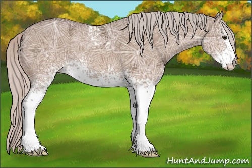 Horse Color:White Spotted Silver Bay Ice Dun 