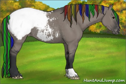 Horse Color:Painted Grullo Appaloosa Rabicano 