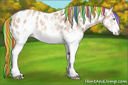 Horse Color:Painted White Spotted Gold Champagne Ice Appaloosa Rabicano 