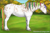 Horse Color:Painted White Spotted Gold Champagne Ice Appaloosa Rabicano 