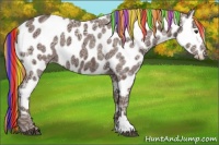 Horse Color:Painted Liver Chestnut Ice Appaloosa 