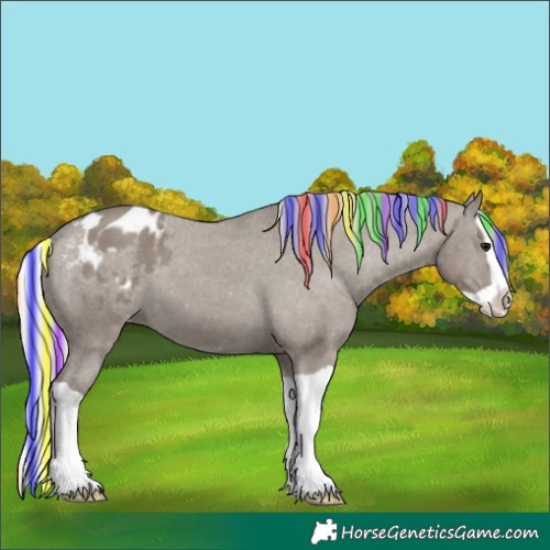 Horse Color:Painted Silver Grullo Splash Appaloosa 