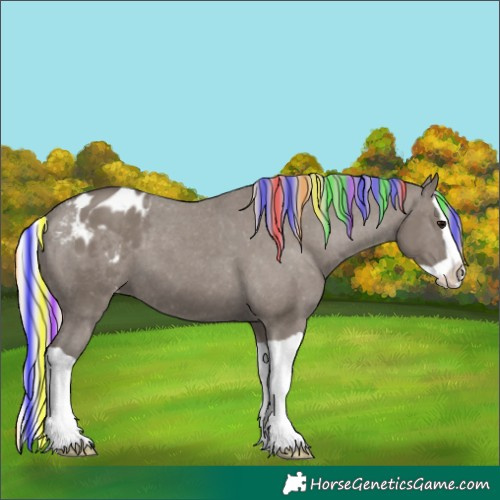 Horse Color:Painted Silver Grullo Splash Appaloosa 