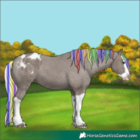 Horse Color:Painted Silver Grullo Splash Varnish 